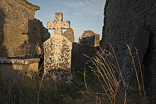 老,墓穴,墓地,基尔肯尼郡,爱尔兰