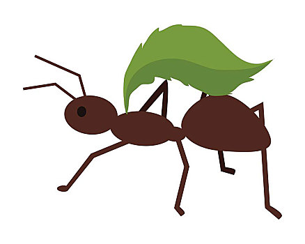 褐色,蚂蚁,绿叶,叶子,象征,拿着,昆虫,白蚁,隔绝,物体,设计,白色背景,背景,矢量,插画