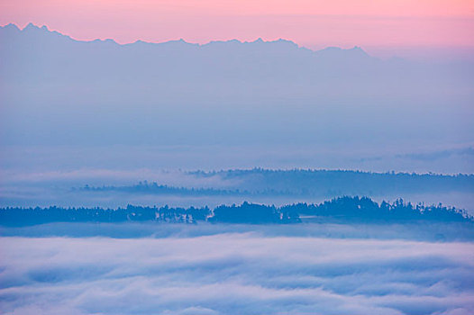 雾状,早晨,温哥华岛,不列颠哥伦比亚省,加拿大