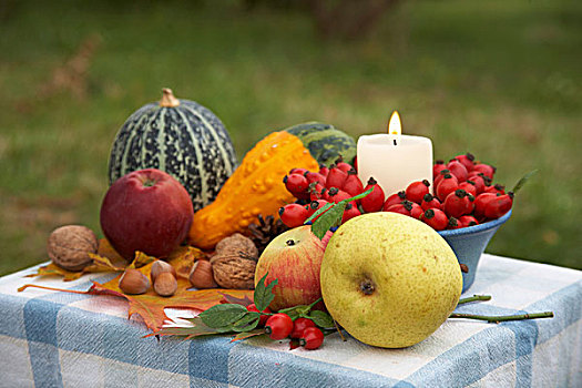 感恩节,桌子,蜡烛,野玫瑰果,装饰,南瓜,苹果,梨,彩色,叶子