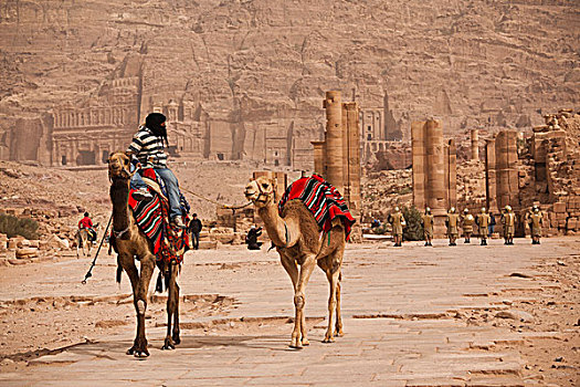 约旦,古老,城市,佩特拉,骆驼
