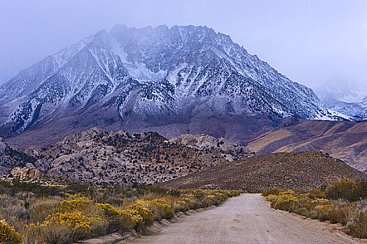 道路,通过,积雪,山脉,脱脂奶,加利福尼亚,美国