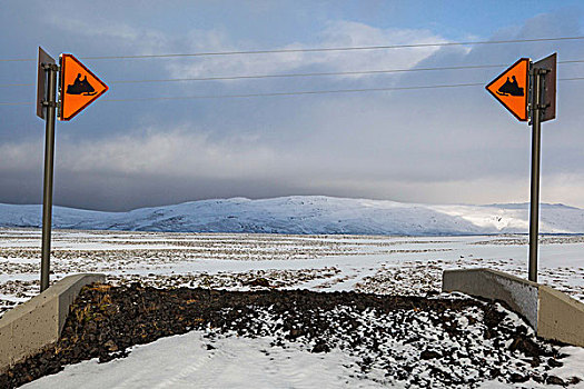 冰岛,斯基度雪地车,道路,荒芜