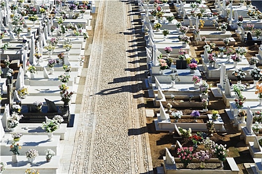 天主教,墓地,葡萄牙