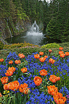喷泉,宝翠花园,维多利亚,温哥华岛,不列颠哥伦比亚省,加拿大