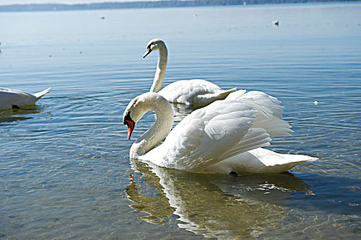 德国慕尼黑周边基姆湖,chiemsee