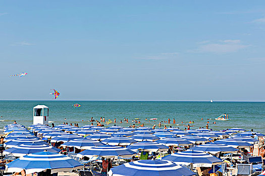 洗澡,伞,海滩,海洋,省,马希地区,亚得里亚海,海岸,意大利,欧洲