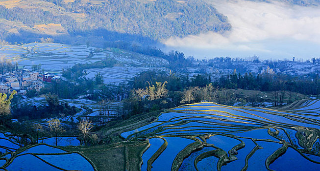 云南红河州元阳梯田自然景观