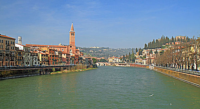 河,风景,桥,教堂,山,维罗纳,威尼托,区域,意大利,欧洲