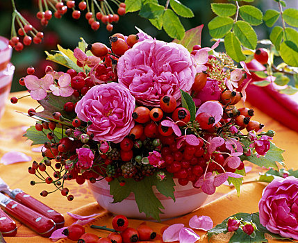 花束,玫瑰,八仙花属,野玫瑰果,荚莲属植物