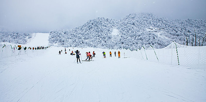 西岭雪山大雪的美丽风景