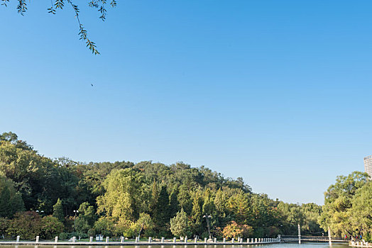 秋季中国抚顺清晨公园河岸柳树石桥游船