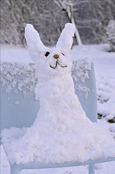 复活节兔子,雪