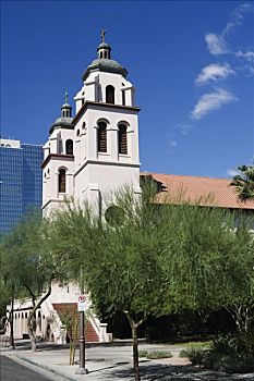 树,正面,教堂,大教堂,凤凰城,亚利桑那,美国