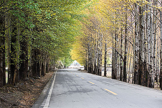 四川甘孜州稻城至理塘一线,沿途风景