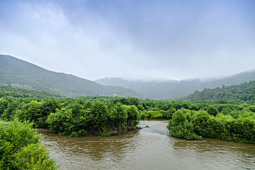 黑龙江省鹤岗市萝北县黑龙江湿地风光