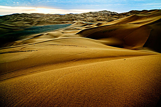 沙丘,沙漠,波纹,干燥,荒凉,光,耶稣光