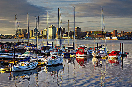 码头,船,早晨,哈利法克斯,新斯科舍省,加拿大