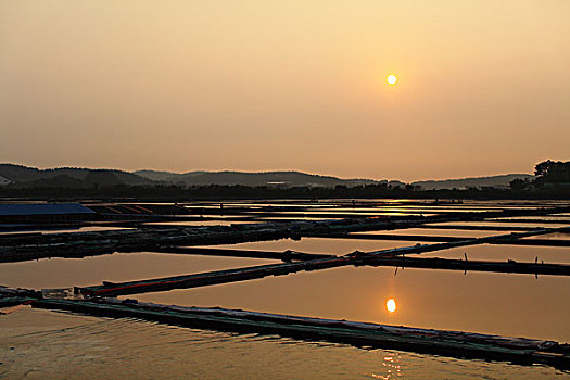 东洲盐田