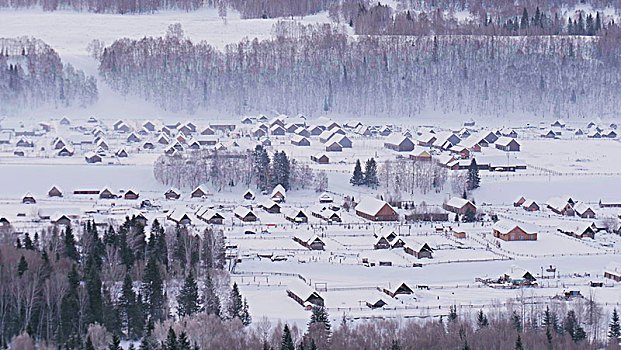雪,村庄,山,冬,树林