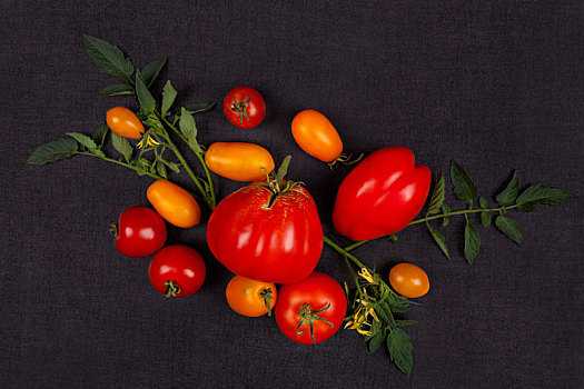 西红柿,暗色,水泥,背景,俯视