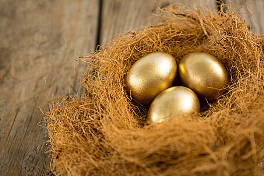 金色,复活节彩蛋,鸟窝,特写