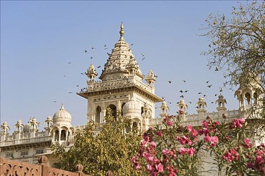 墓葬碑,白色,大理石,纪念,拉贾斯坦邦,印度