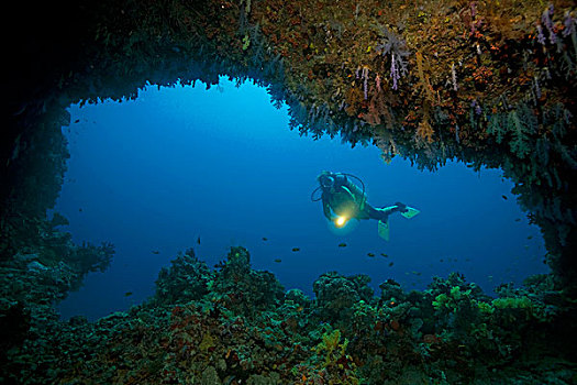 水中呼吸器,潜水,正面,水下,洞穴,遮盖,软,珊瑚,马尔代夫,印度洋,亚洲
