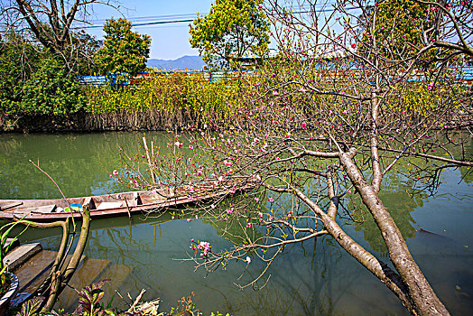 海曙,古林镇,蜃蛟村,水乡,亭子,廊桥