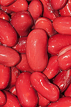 红云豆,扁豆
