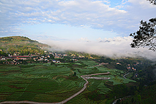 遵义旅居农家