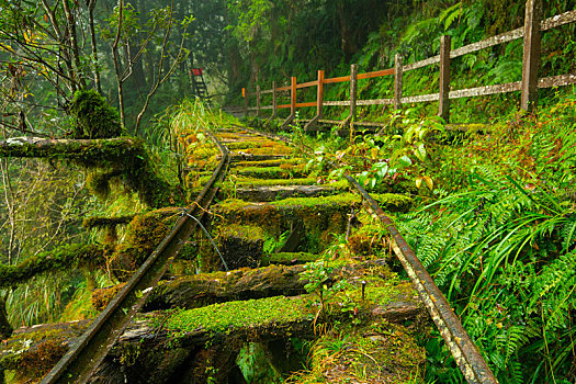 台湾宜兰县太平山见晴古道,是著名的旅游胜地