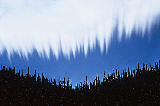 树,影子,冰川国家公园,不列颠哥伦比亚省,加拿大