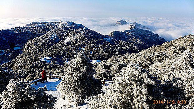 黄山,雪景,光明顶,日出,雾,云海