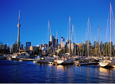 帆船,城市天际线,多伦多,安大略省,加拿大