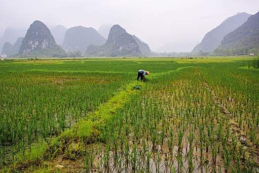 桂北农家