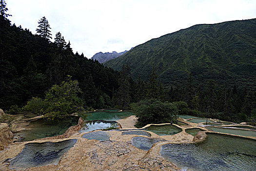 四川阿坝黄龙风光