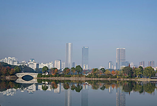 冬景,湖光冬色,水杉