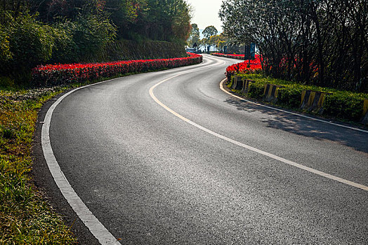 林间的汽车道路