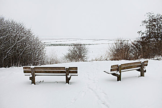 两个,乡村,公园长椅,向外看,上方,积雪,风景
