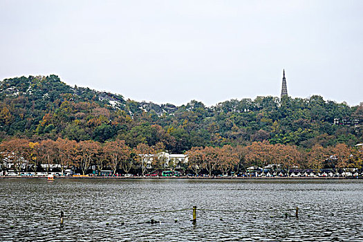 杭州宝俶塔冬景