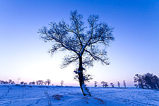 雾凇岛,冰雪,自然风光,吉林,龙潭区