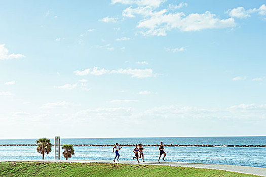 三个女人,锻炼,跑,私人教练,公园,迈阿密海滩,佛罗里达,美国