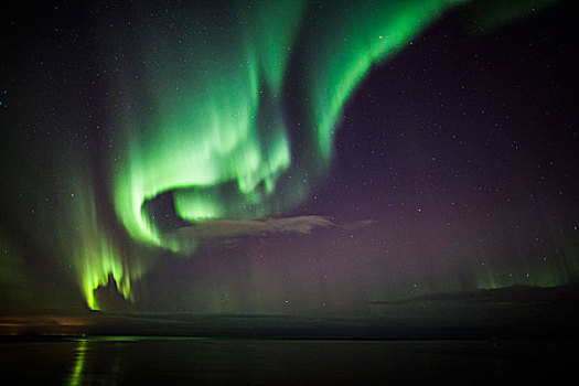 北极光,冰岛,上方,水,半岛