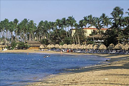 多米尼加共和国,酒店,海滩