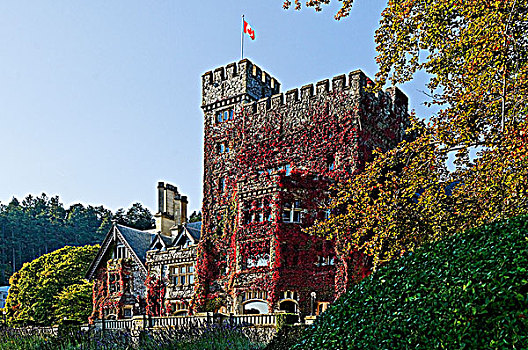 城堡,公园,维多利亚,不列颠哥伦比亚省,加拿大