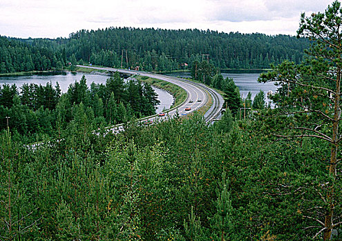 瑞典,道路,穿过,河,树林