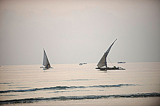 坦桑尼亚,靠近,南海岸,传统,船