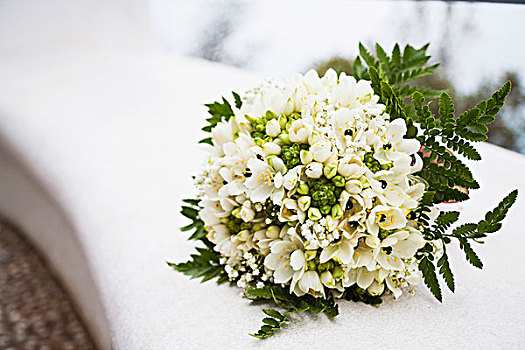 新娘手花,白色,银莲花