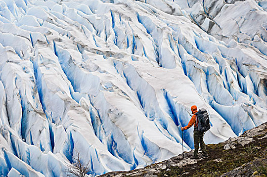 男人,格里冰河,靠近,托雷德裴恩国家公园,智利
